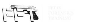 Felix Forensics Logo